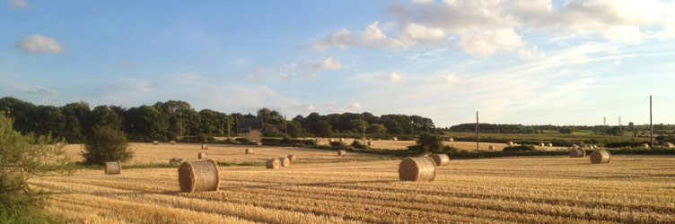 Linda Leary Estate Agents