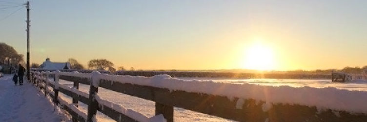 Linda Leary Estate Agents